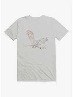Brand new 👏 Harry Potter Hedwig Delivery T-Shirt ⭐