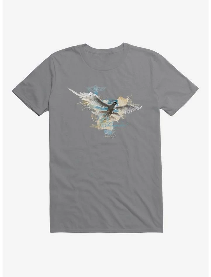 Buy 🥰 Fantastic Beasts T-Bird Lightning T-Shirt 🧨 - Image 4