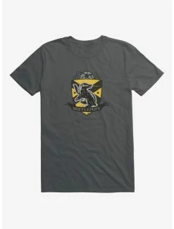 Best Sale 😉 Harry Potter Hufflepuff Quidditch Team T-Shirt 🔔