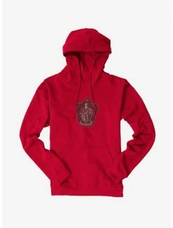 Top 10 💯 Harry Potter Gryffindor 🧥 Coat Of Arms Hoodie ✨