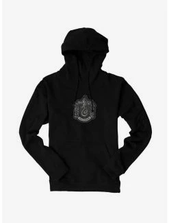 Hot Sale 💯 Harry Potter Slytherin 🧥 Coat Of Arms Hoodie 🥰
