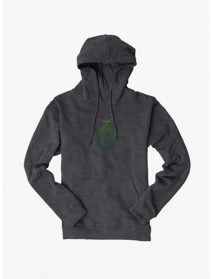 Top 10 😀 Harry Potter Swish And Flick Hoodie 😀 - Image 3