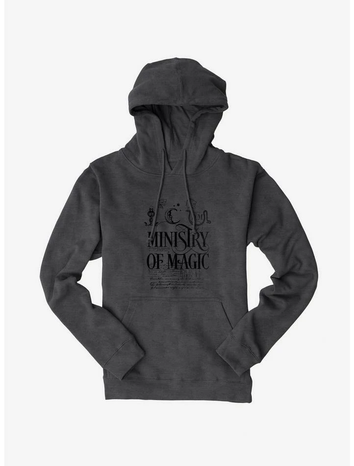 Brand new π Harry Potter Ministry Of Magic Text Hoodie βοΈ - Image 3