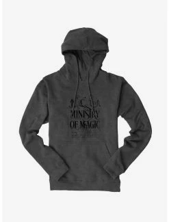 Brand new 🔔 Harry Potter Ministry Of Magic Text Hoodie ✔️