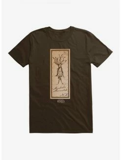 Best Pirce 👏 Fantastic Beasts Herbology Mandrake Marmalade T-Shirt 🔔
