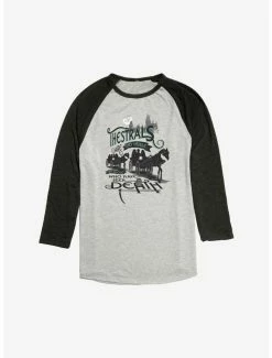 Budget 😍 Harry Potter Only Visible Raglan 👏