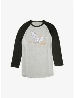 Deals ⭐ Harry Potter Holiday Delivery Raglan ✔️