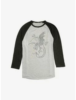 Best Pirce 🥰 Harry Potter Dragon Draw Raglan 😍