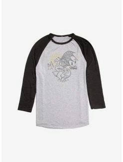 Best reviews of 😍 Harry Potter Darkness Falls Raglan 🎉