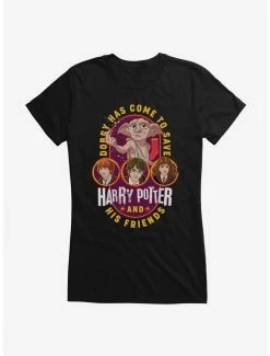 Budget 🛒 Harry Potter Dobby And His Friends 👧 Girls T-Shirt ✨