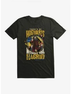 Best Sale 👏 Harry Potter Hagrid T-Shirt ⭐