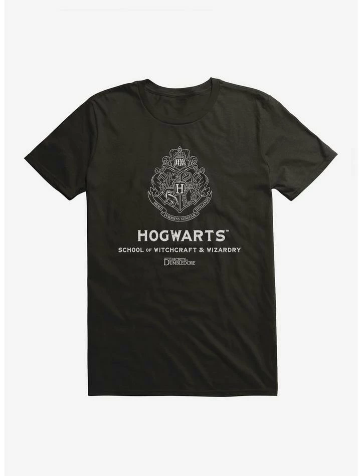 Top 10 ๐งจ Fantastic Beasts: The Secrets Of Dumbledore Hogwarts Witchcraft & Wizardry T-Shirt ๐ - Image 2