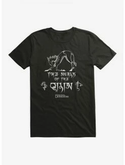 Budget 🎁 Fantastic Beasts Qilin Walk T-Shirt ⌛