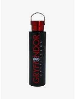 Budget ๐ Harry Potter Gryffindor Stainless Steel Water Bottle ๐ฅ