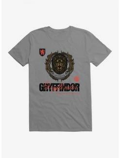 Best Pirce ✨ Harry Potter Gryffindor Seal Motto T-Shirt 👏