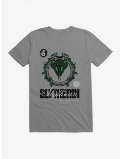 Top 10 💯 Harry Potter Slytherin Seal Motto T-Shirt ⭐
