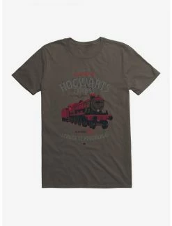 Deals 🛒 Harry Potter Hogwarts Express Icon T-Shirt 🌟
