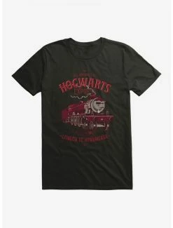 Brand new 🌟 Harry Potter Hogwarts Express Red Icon T-Shirt ⌛