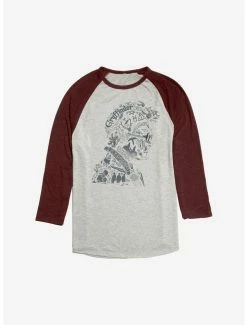 Coupon 🧨 Harry Potter Portrait Fill Raglan 💯