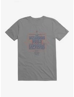 Flash Sale 😉 Harry Potter: Wizards Unite Task Force T-Shirt 🤩