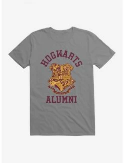Brand new ๐ Harry Potter Hogwarts Alumni T-Shirt ๐ฅฐ