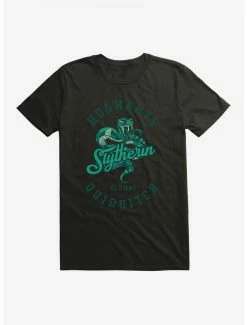 Brand new ✨ Harry Potter Slytherin Alumni T-Shirt 😍