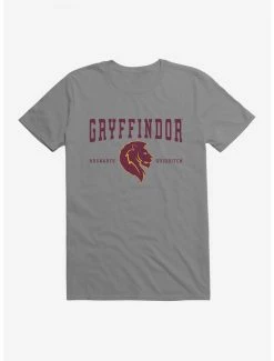 Best deal 🛒 Harry Potter Gryffindor Quidditch Symbol T-Shirt ⭐