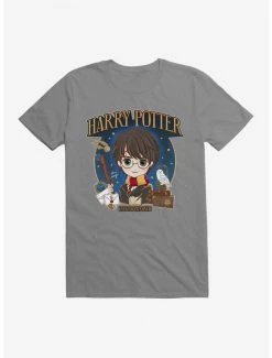 Hot Sale 🤩 Harry Potter Expecto Patronum Potter T-Shirt 🎉